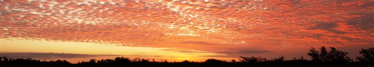 Contact Us | Mapoon Aboriginal Shire Council