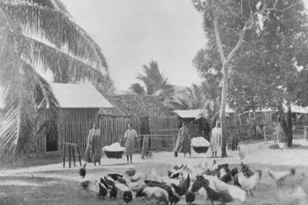Fowl yard and girls laundry at mapoon ca 1910